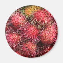 Rambutan fruit refrigerator magnet