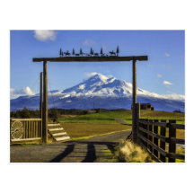 RANCH VIEW OF SHASTA POSTCARDS