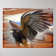 Raptor Posters