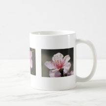 Raspberry Blooms Mug