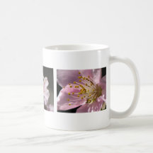 Raspberry Blooms Mugs