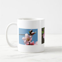 Raspberry Blooms Mugs