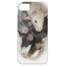 Rat Besties iPhone cover iPhone 5 Case