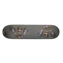 Rat cone (Conus rattus) Shell Skate Decks
