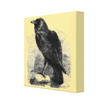 Raven Corvus Gallery Wrap Canvas