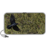 Raven Delivery PC Speakers