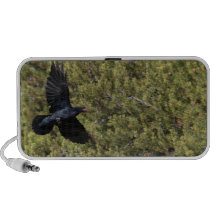 Raven Delivery PC Speakers