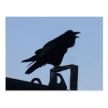 Raven in Silhouette, Unalaska Island Post Card