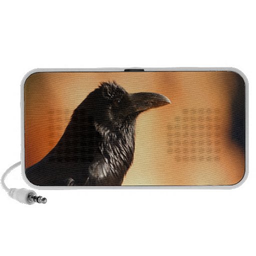 raven laptop speaker