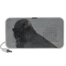 Raven Speaker