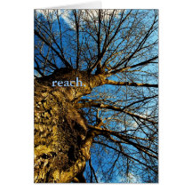reach. card