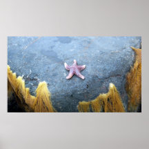 Reach For The Stars Poster