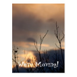 Reach for the Sunset Postcards