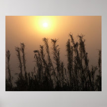 reaching for warmth poster