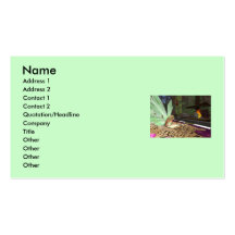 Reading Fairytales Business Card
