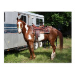 "Ready for the ride" Post Card
