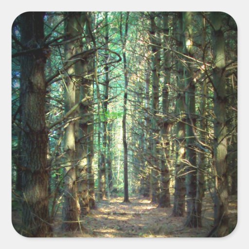 Rebellious Tree Photo Sticker