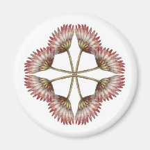 Reconstructed Manuscript Floral Magnet 2