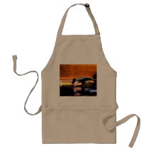 Record Player apron