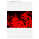 Red Abstract Cards