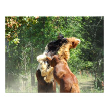 Red and Tango at Play Custom Invites