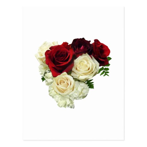 Red and White Rose Heart Postcard