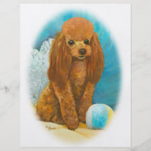 Red Apricot Poodle with Ball Flyer Design