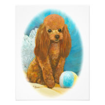 Red Apricot Poodle with Ball Personalized Invite