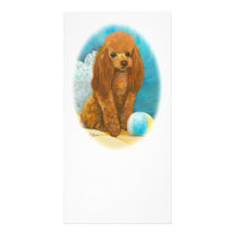 Red Apricot Poodle with Ball Photo Greeting Card