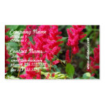 Red Astilbe Flowers Business Cards