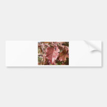 Red Autumn Leaves Bumper Sticker