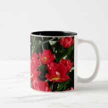 Red Beauties Coffee Mug