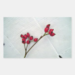 Red berries on a leafless branch rectangle sticker