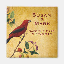 Red Bird Magnets