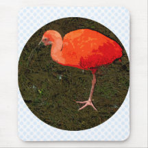 Red Bird Mousepads
