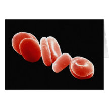 Red Blood Cells Greeting Card