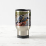 Red-breasted Nuthatch Juvenile and Adult in Hand Mug