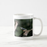 Red-breasted nuthatch mugs