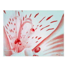 Red Bubble Nectar Postcards