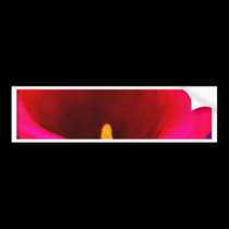 Red Cala Lily Flower Painting Art - Multi bumper stickers