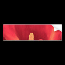 Red Cala Lily Tropical Flower Art - Multi bumper stickers