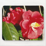 Red Camellia Japonica 'A. Audusson' Mouse Pad