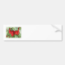 Red Currants on the Plant. Green Leaves. Bumper Stickers