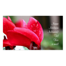 Red Cyclamen flower business cards