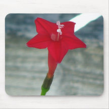 Red Cypress Vine Mousepad