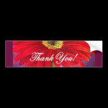 Red Daisy Flower Painting - Multi bumper stickers