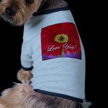 Red Daisy Flower Painting - Multi pet clothing
