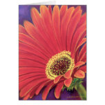 Red Daisy Flower Painting - Multi Greeting Cards