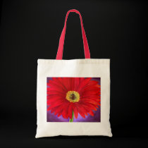 Red Daisy Gerber Flower Painting Art - Multi bags