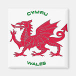 Red Dragon of Wales (Cymru), White Back Magnets
